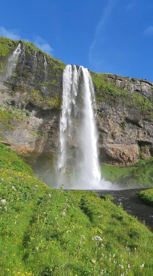 Selfoss Apartment מראה חיצוני תמונה